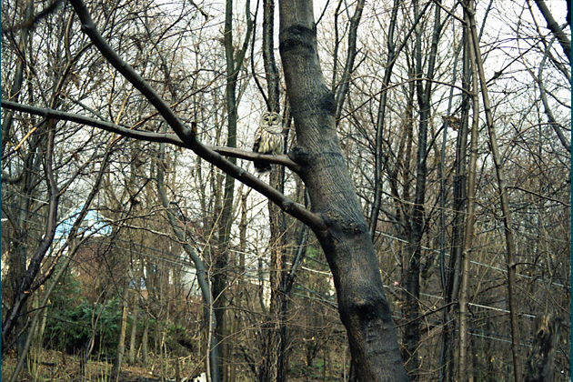 Late December, 2001